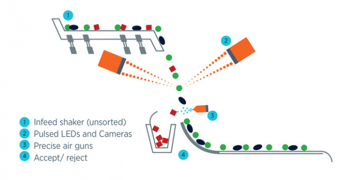 Schematic setup of a sensor-based automated food inspection and sorting operation